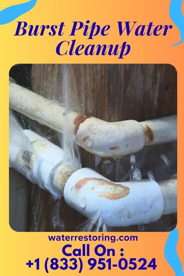Burst Pipe Water Cleanup in Fort Gay, WV