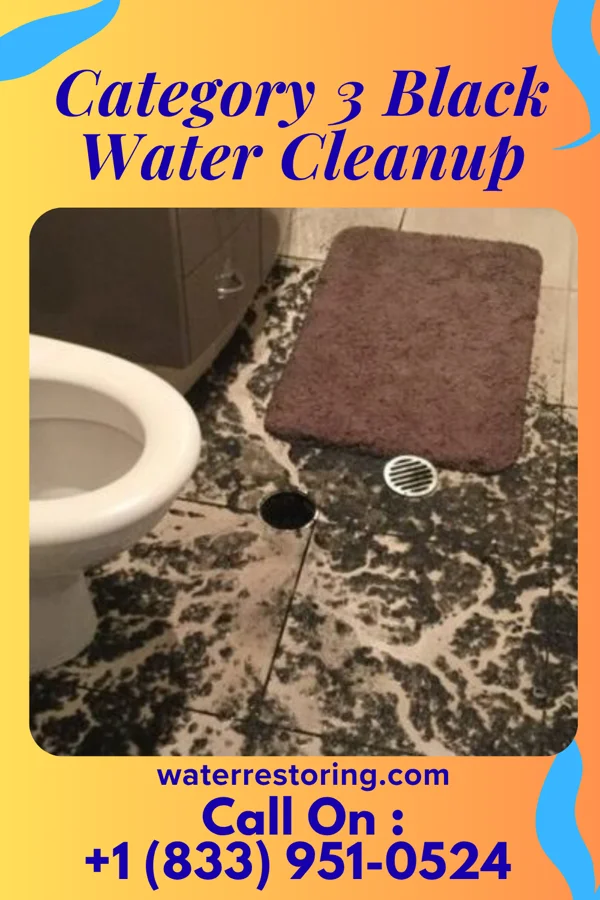 Category 3 Black Water Cleanup in Fort Gay, WV