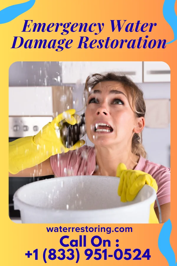 Emergency Water Damage Restoration in Fort Gay, WV