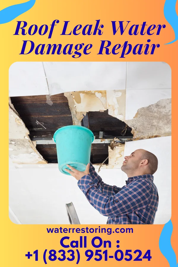 Roof Leak Water Damage Repair in Fort Gay, WV