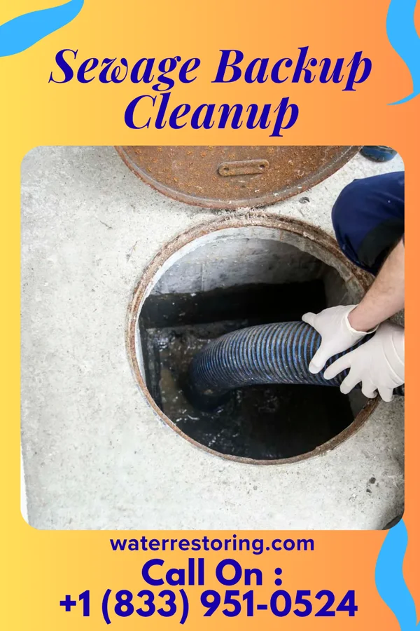 Sewage Backup Cleanup in Fort Gay, WV