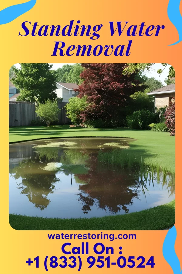 Standing Water Removal in Fort Gay, WV